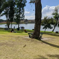 Modderfontein Reserve - Edenvale