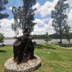 Modderfontein Reserve - Edenvale