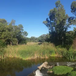 Modderfontein Reserve - Edenvale