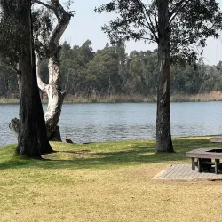 Modderfontein Reserve - Edenvale