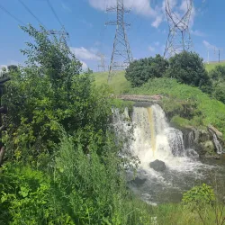 Modderfontein Reserve - Edenvale