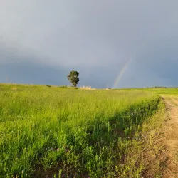 Modderfontein Reserve - Edenvale