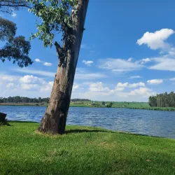 Modderfontein Reserve - Edenvale