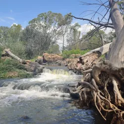 Modderfontein Reserve - Edenvale