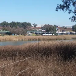 Modderfontein Reserve - Edenvale