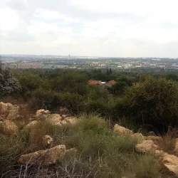 Rietfontein Nature Reserve - Edenvale