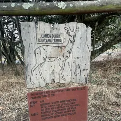 Rietfontein Nature Reserve - Edenvale