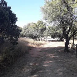Rietfontein Nature Reserve - Edenvale