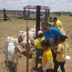 Fochville Agricultural Show (seasonal) - Fochville