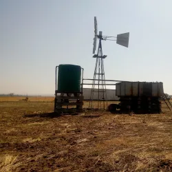 Fochville Agricultural Show (seasonal) - Fochville