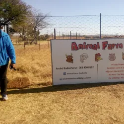 Fochville Agricultural Show (seasonal) - Fochville