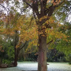 Fochville Golf Club - Fochville