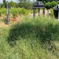 Fochville Nature Trails - Fochville