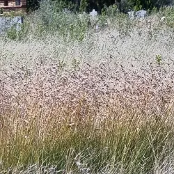 Fochville Nature Trails - Fochville