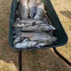 Vaal River - Fochville