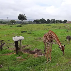 Cradle of Humankind - Fourways