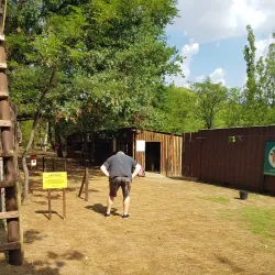 Fourways Adventure Park - Fourways