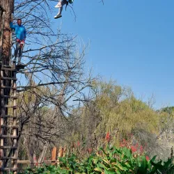 Fourways Adventure Park - Fourways