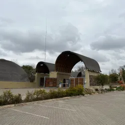 Lion Park - Fourways