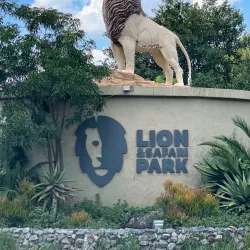 Lion Park - Fourways