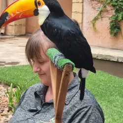Montecasino Bird Gardens - Fourways