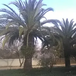 Norscot Manor - Fourways