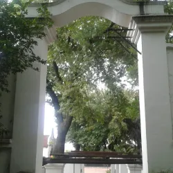 Norscot Manor - Fourways