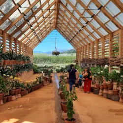 Babylonstoren - Franschhoek