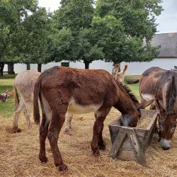 Babylonstoren - Franschhoek