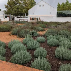 Babylonstoren - Franschhoek