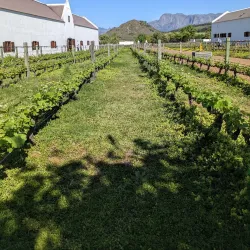 Babylonstoren - Franschhoek