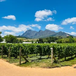 Babylonstoren - Franschhoek