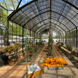 Babylonstoren - Franschhoek