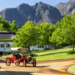 Franschhoek Motor Museum - Franschhoek
