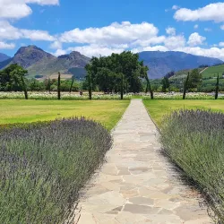 Huguenot Memorial Museum - Franschhoek