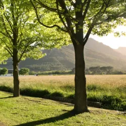 La Motte Wine Estate - Franschhoek