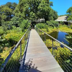 La Motte Wine Estate - Franschhoek