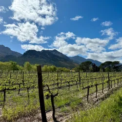 La Motte Wine Estate - Franschhoek