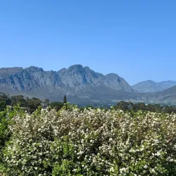 Mont Rochelle Nature Reserve - Franschhoek