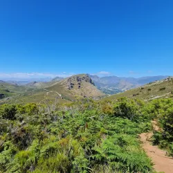 Mont Rochelle Nature Reserve - Franschhoek
