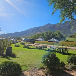 Rickety Bridge Winery - Franschhoek