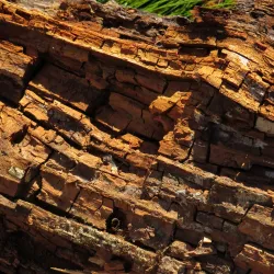 The Franschhoek Pass - Franschhoek