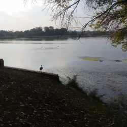 Germiston Lake - Germiston