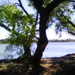 Germiston Lake - Germiston
