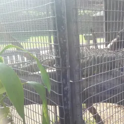 Jameson Park and Rose Garden - Germiston