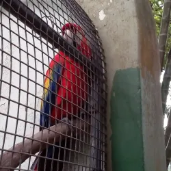 Jameson Park and Rose Garden - Germiston