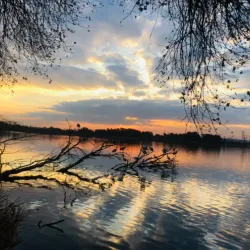Victoria Lake Nature Reserve - Germiston
