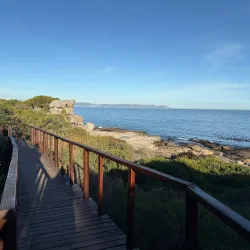 Cliff Path Walks - Hermanus
