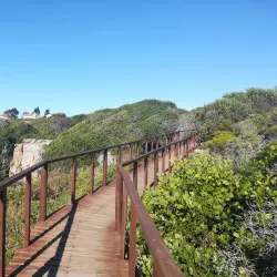 Cliff Path Walks - Hermanus