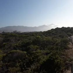 Cliff Path Walks - Hermanus